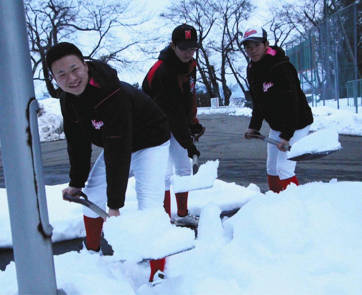 学校内の雪かきをする丹生の硬式野球部員たち