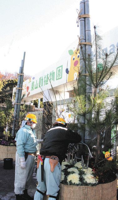 でかいよ 迫力の門松 東山動植物園と名城公園に設置 中日新聞web