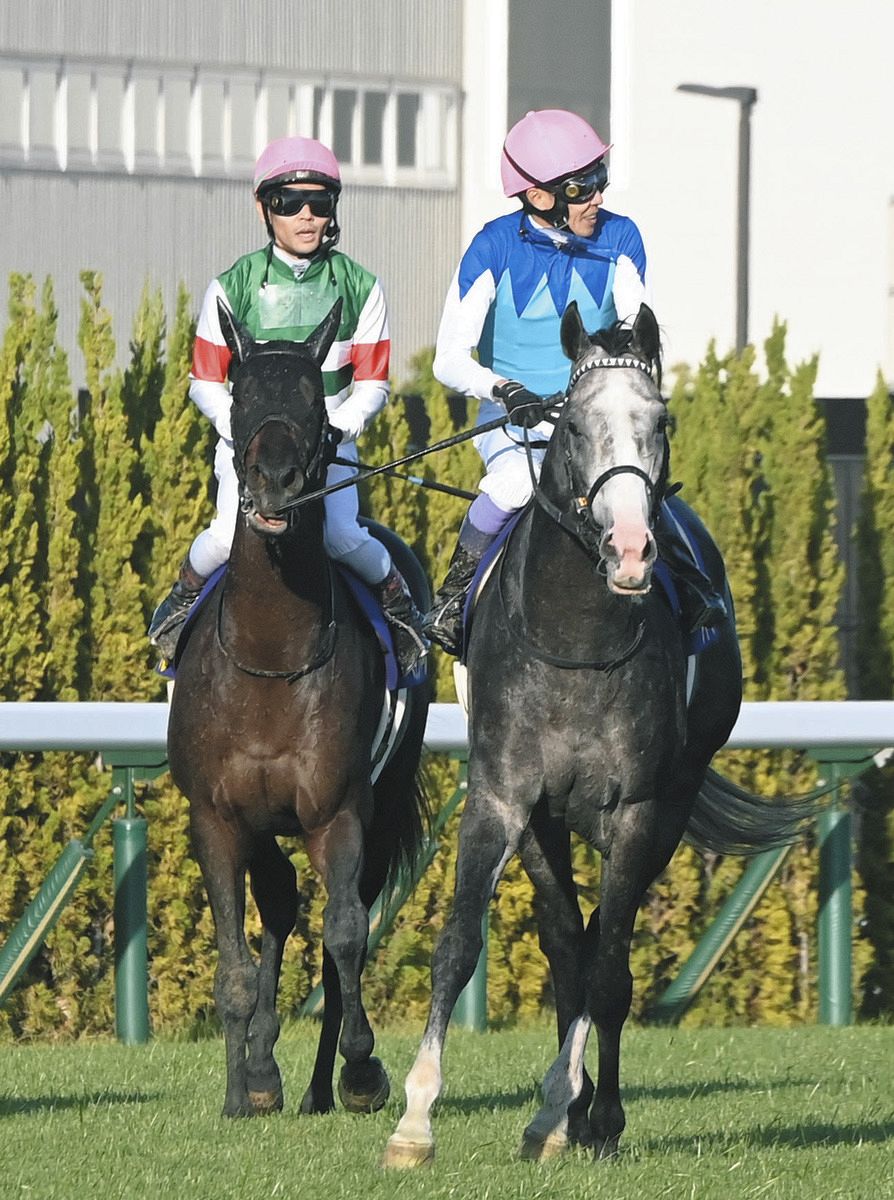 菊花賞】初G1挑戦のヘデントールが2着 鞍上の戸崎「勝ち切れ 菊花賞】初G1挑戦のヘデントールが2着 鞍上の戸崎「勝ち切れ