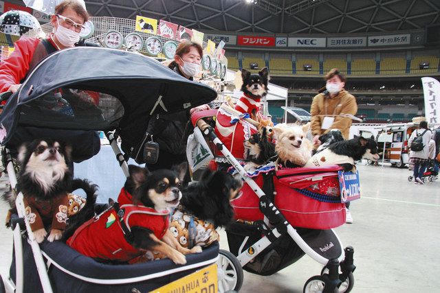 大勢のペット連れが訪れたわんにゃんドームの会場＝名古屋市東区のバンテリンドームナゴヤで 