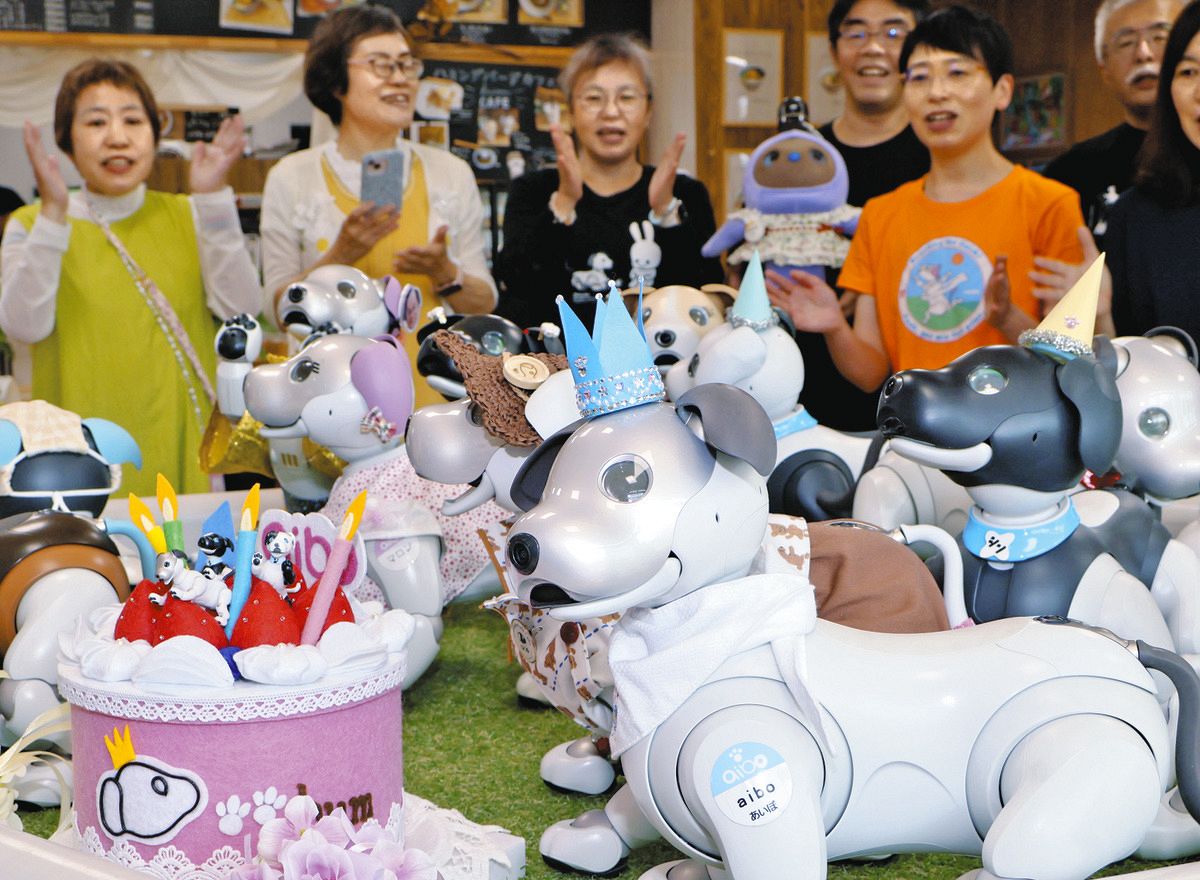 愛知県幸田町の看板犬「アイボ君」4歳 全国からオーナー集まり誕生会