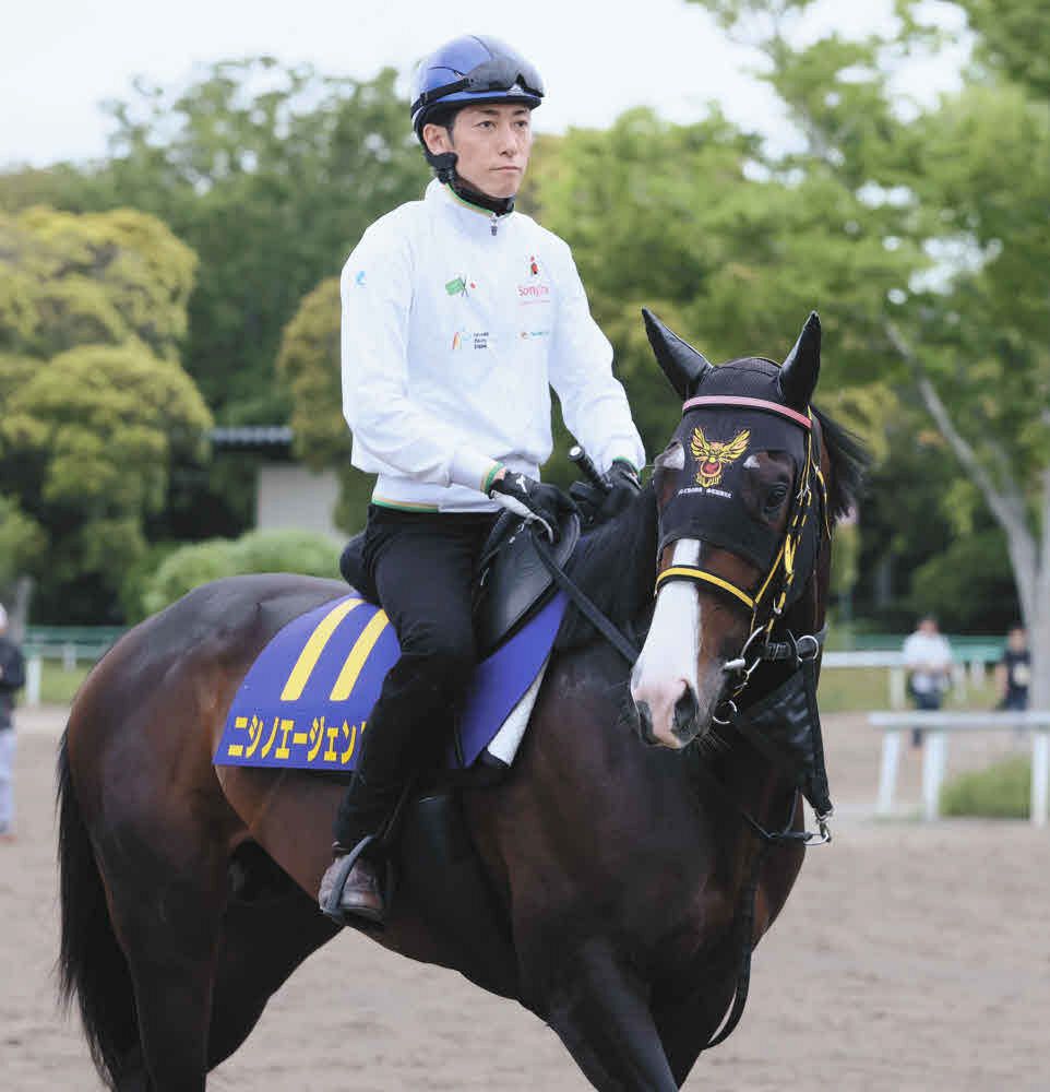 ニシノエージェント