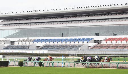 無観客だけれど オッズ掲示板がつなぐ絆 中日スポーツ 東京中日スポーツ