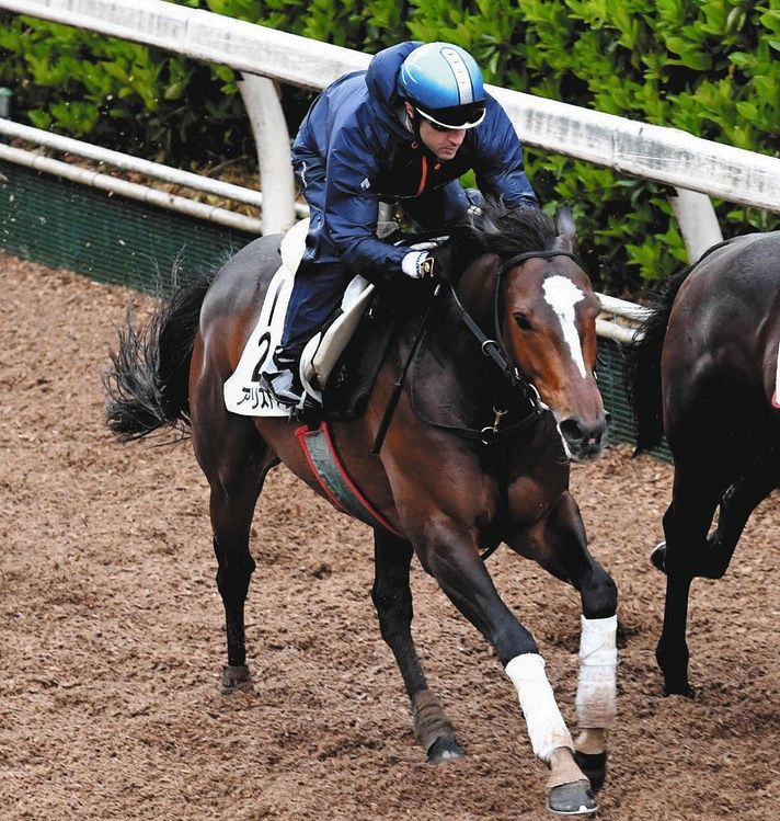 天皇賞 アリストテレス ルメール騎乗で初のg1制覇へ 良馬場の阪神も追い風になりそう 中日スポーツ 東京中日スポーツ