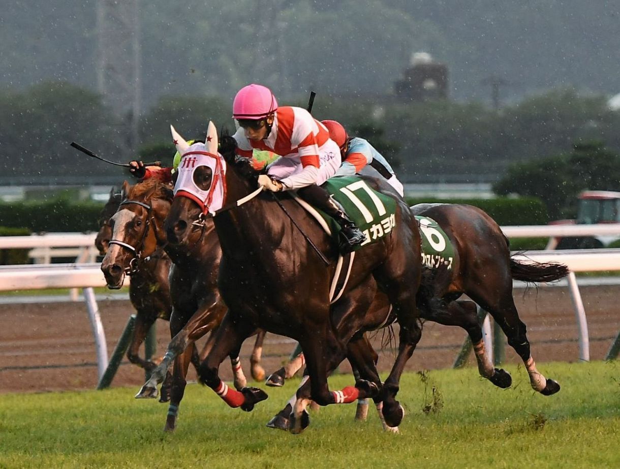 骨折で競走能力喪失 ヨカヨカ引退がトレンド入り 九州産馬 初のｇ１制覇も夢じゃないと思ったのに 残念だけど 命あって良かった 中日スポーツ 東京中日スポーツ