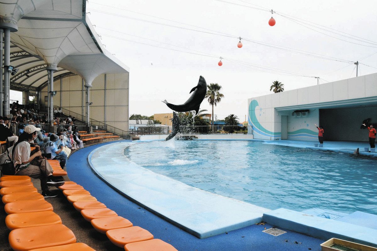 地震時、水族館の生き物どう守る 「明日はわが身」能登教訓に南知多