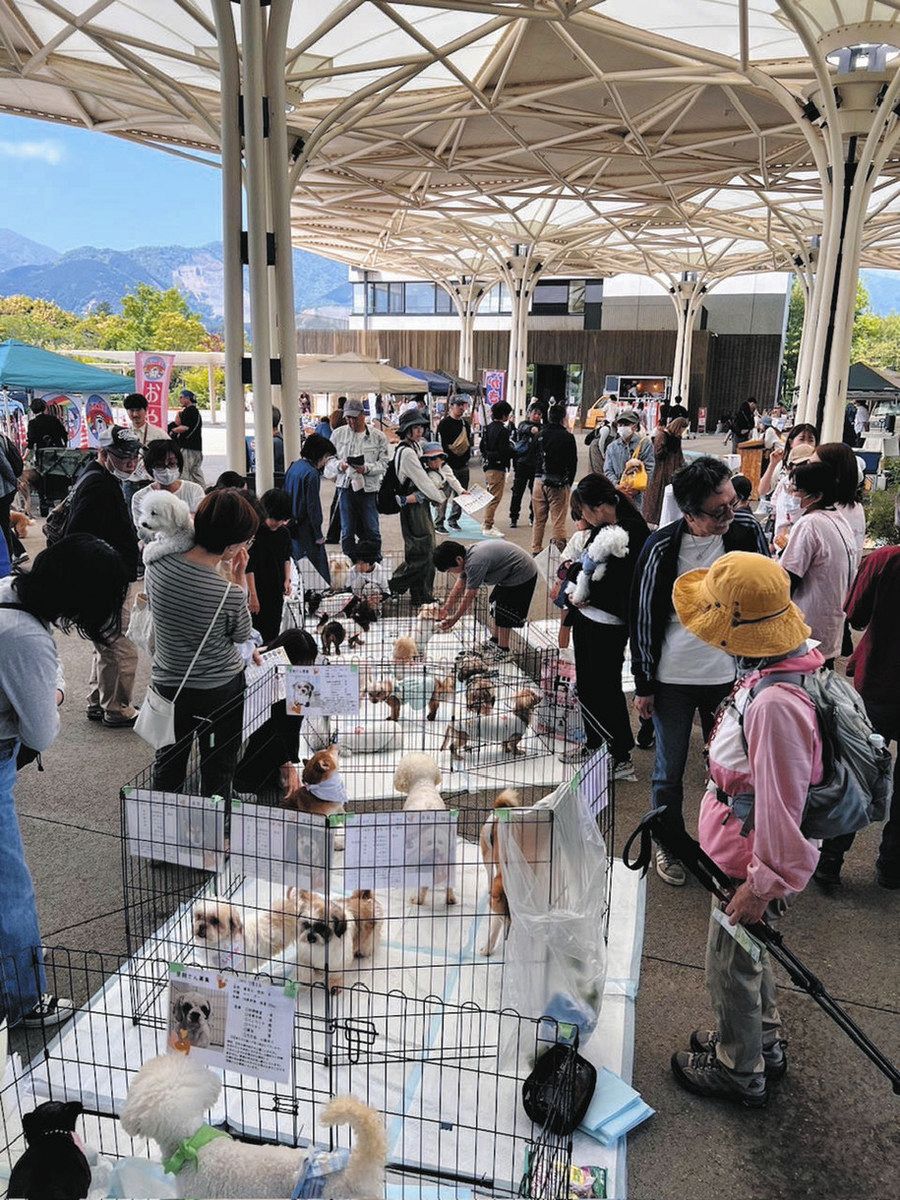 年100～150匹の保護犬をマッチング 亀山のルピナス、毎週のように譲渡