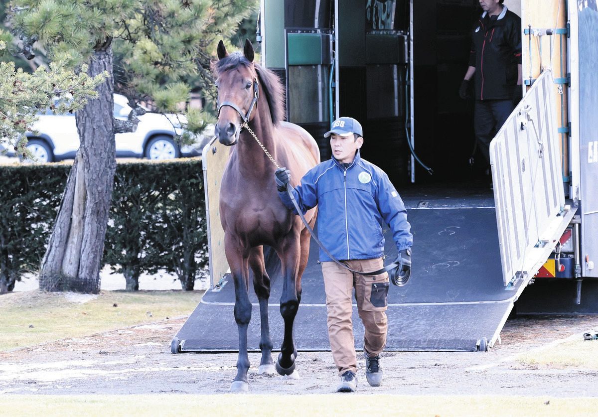 競馬】ジャスティンミラノ、種牡馬として暮らす北海道