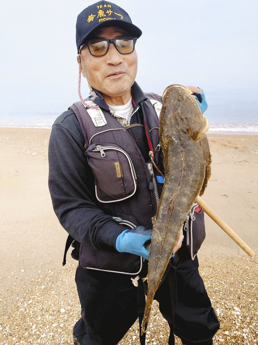弦月直後のマゴチ 魚種別・狙い目の月齢：中日スポーツ・東京中日スポーツ