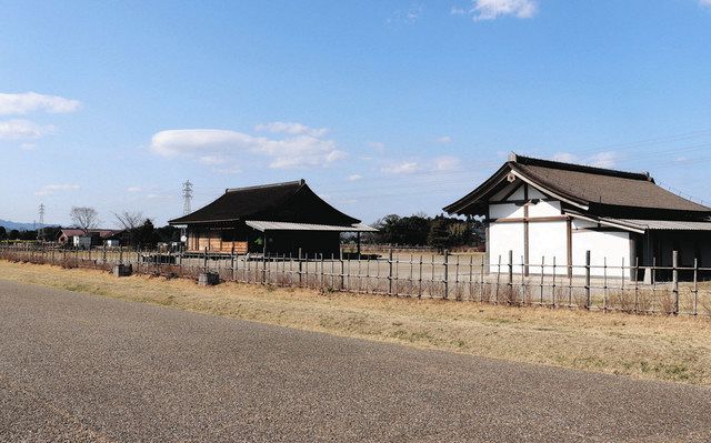 【独自】繊維用大麻、三重・明和の斎宮跡で栽培へ 神事などで活用目指す:中日新聞Web