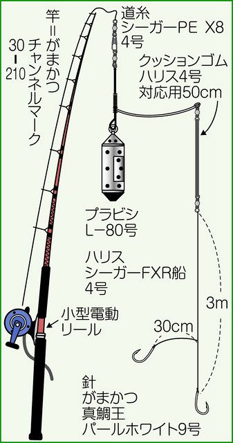 葉山沖イナダ サイズup ゲスト多彩 葉山鐙摺港 与兵衛丸 から出船 中日スポーツ 東京中日スポーツ