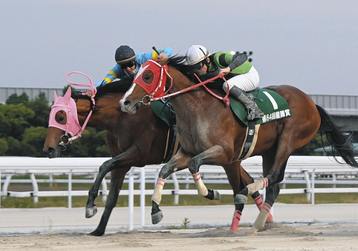 中日スポーツ杯・駿蹄賞】休養明けのカワテンマックスが三冠戦の1冠目