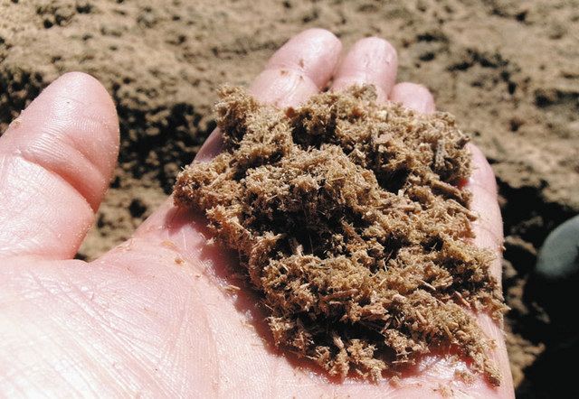竹粉末混ぜた土でコメ作り 朝日町で試行、糖度アップや竹林資源活用に:中日新聞Web