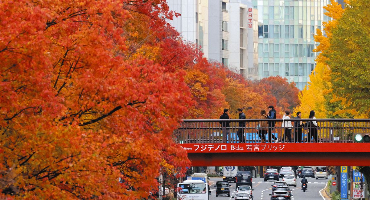 冷え込む名古屋の街に赤と黄色のコントラスト 若宮大通沿い