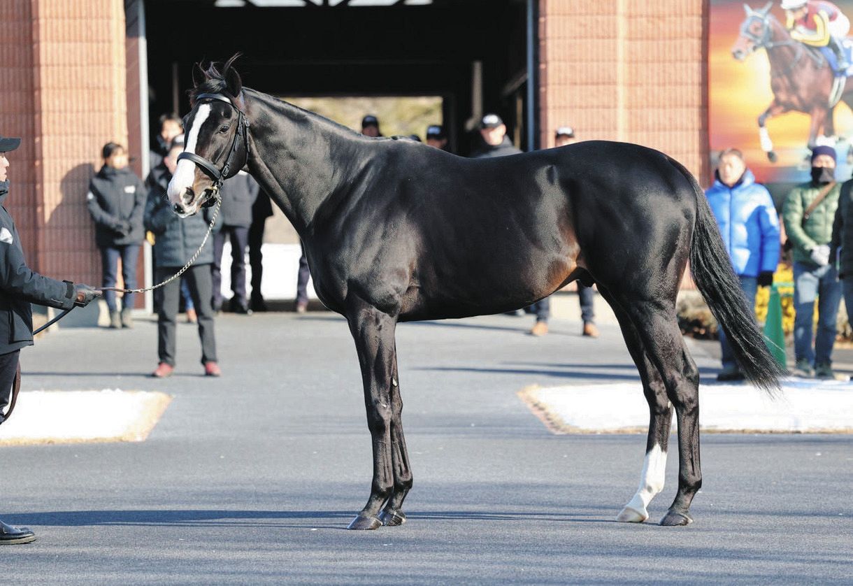 イクイノックスが真っ先に登場「スタリオンパレード」いつかは父のよう