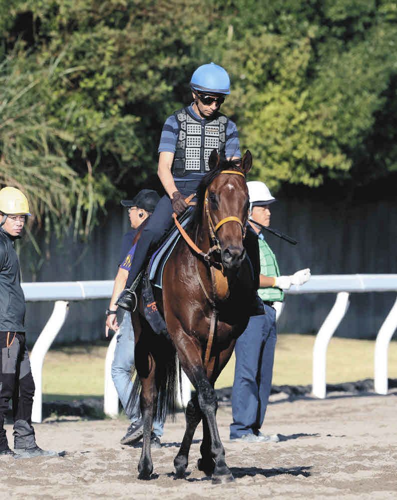 香港チェアマンズスプリント】勝ち馬の加速についていけず