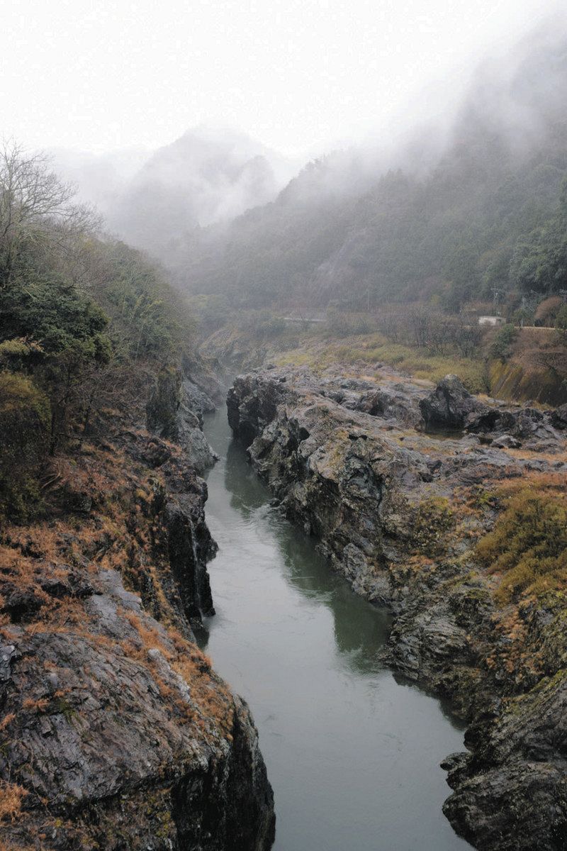 木曽川水景 ～再来～＞（9）大陸離れ、飛水峡の岩肌 チャート（1