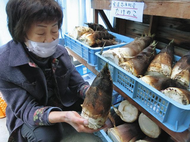 直売所に並んだ旬のタケノコ＝宝達志水町宿で 