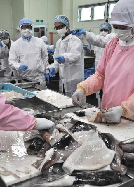 カイゼン、被災企業に トヨタ、東北に13年から社員派遣:中日新聞Web