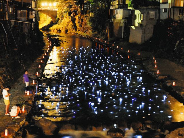 川面にきらめく「天の川」 郡上・小駄良川でイルミネーション：中日新聞Web