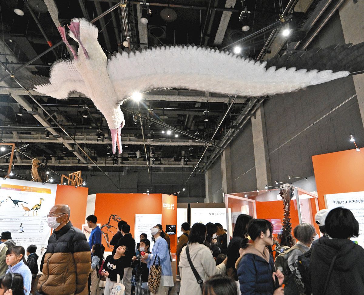 写真特集絶滅種や人気者、時空超えて「飛来」 名古屋市科学館特別展