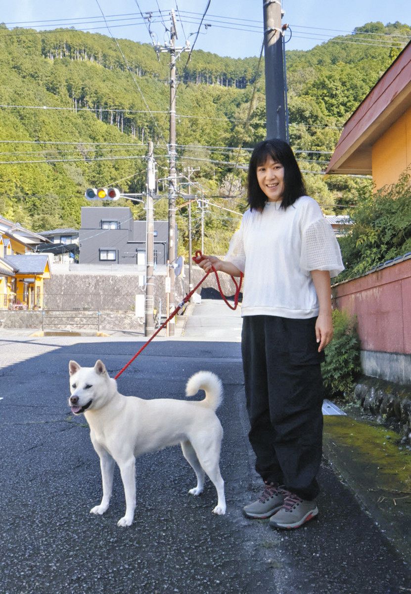 人懐っこさも育てた 紀北「紀州犬のナズナ」：中日新聞Web