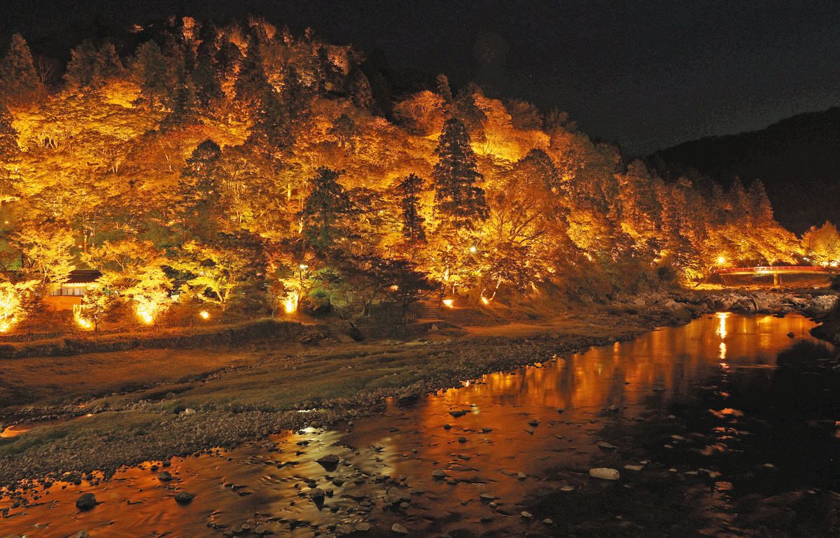 闇夜に浮かぶ紅葉、ライトアップ始まる 豊田・香嵐渓で「もみじまつり