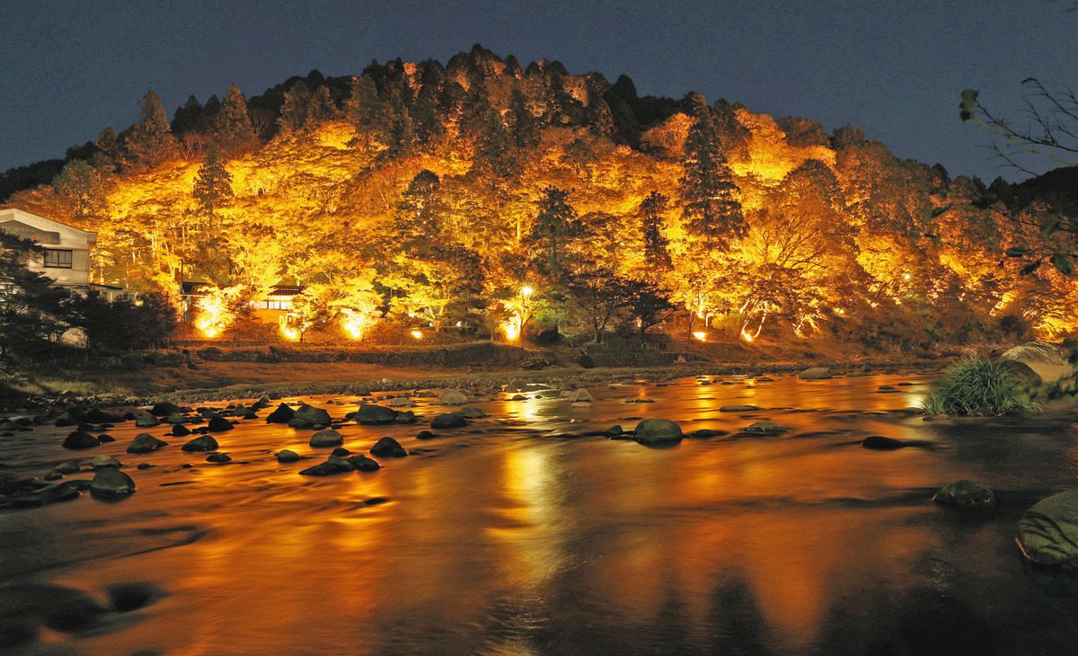 闇夜に浮かぶ紅葉、ライトアップ始まる 豊田・香嵐渓で「もみじまつり