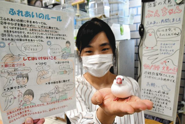 中日新聞