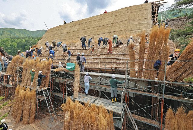 世界遺産の白川郷でかやぶき屋根ふき替え 5年ぶり、伝統の共同作業