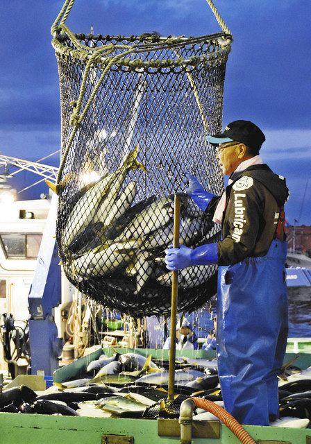 北海道 海の幸 異変 ウニ赤潮大量死 水温上昇で 魚種交替 中日新聞web