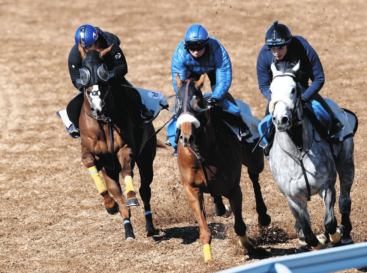 金鯱賞・追い切り】アーバンシック三浦騎手を背に美浦Wで3頭併せ 武井