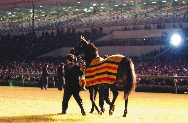 写真】日が落ちた中で行われたシンボリクリスエスの引退式：中日スポーツ・東京中日スポーツ