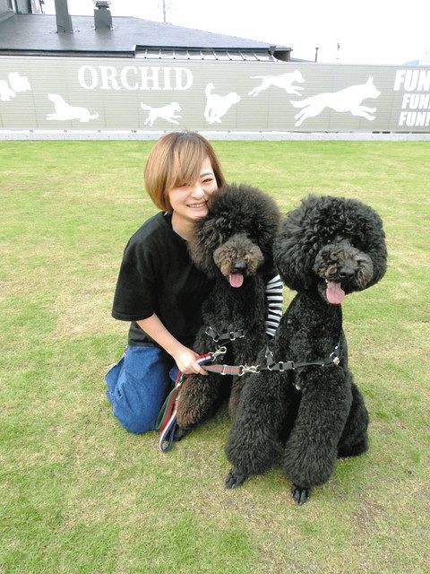 愛犬眺めて至福の一杯 磐田にドッグラン併設の喫茶店開店 中日新聞しずおかweb