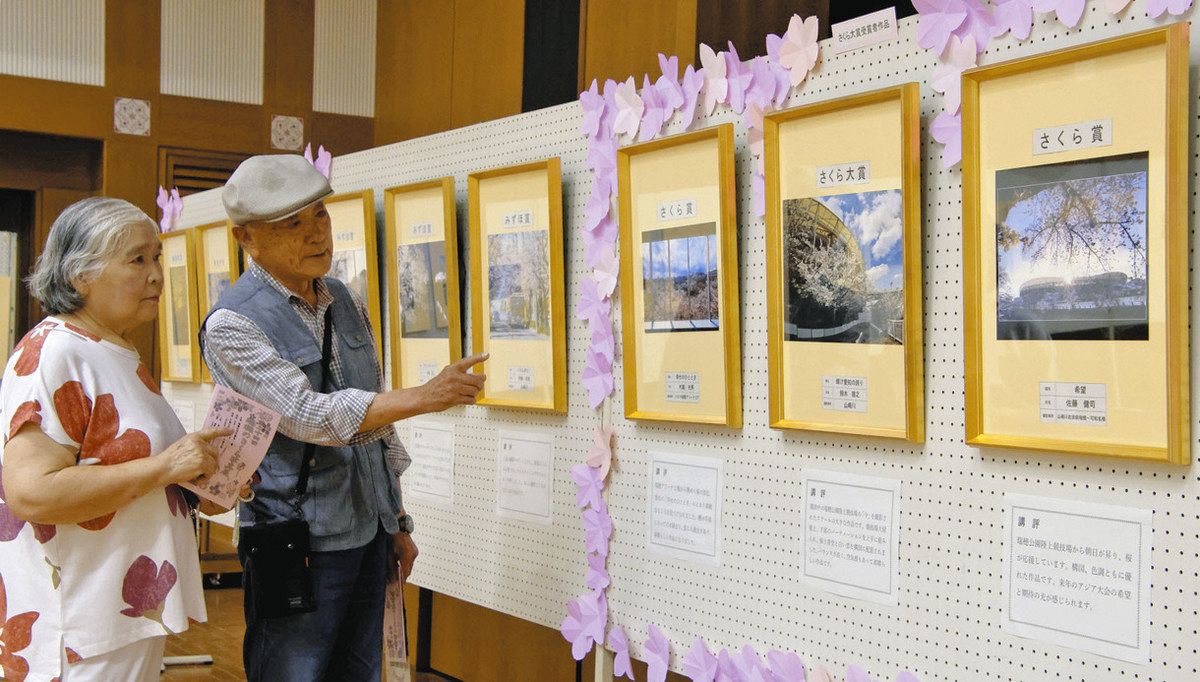 瑞穂の桜と思い出の1枚 名古屋・瑞穂区役所で写真展：中日新聞Web