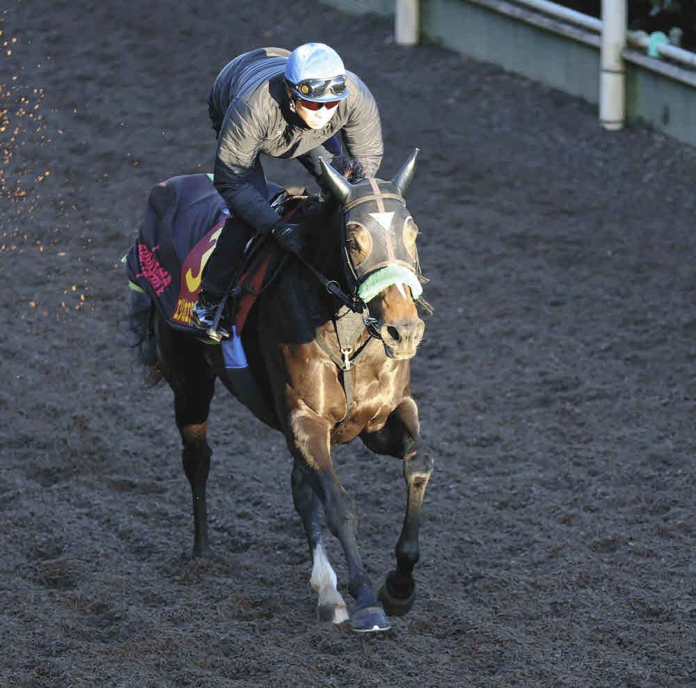 消せる馬・エリザベス女王杯】4枠だけ3着止まり…戸崎騎乗レガレイラは