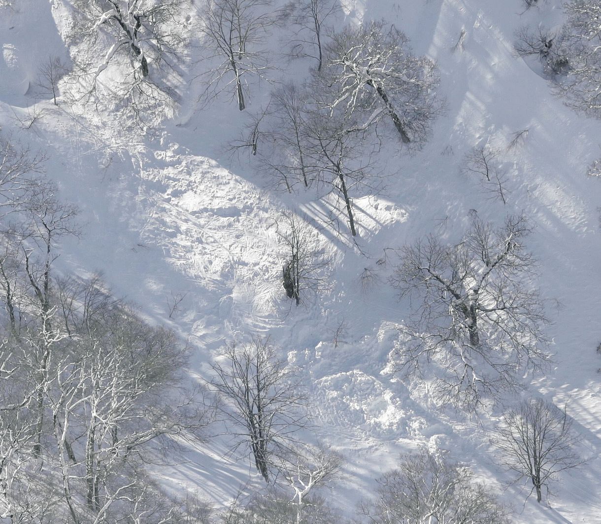 雪崩 長野・北アルプス風吹岳で雪崩、10人巻き込まれる 2人搬送、8人は自力下山：中日新聞Web