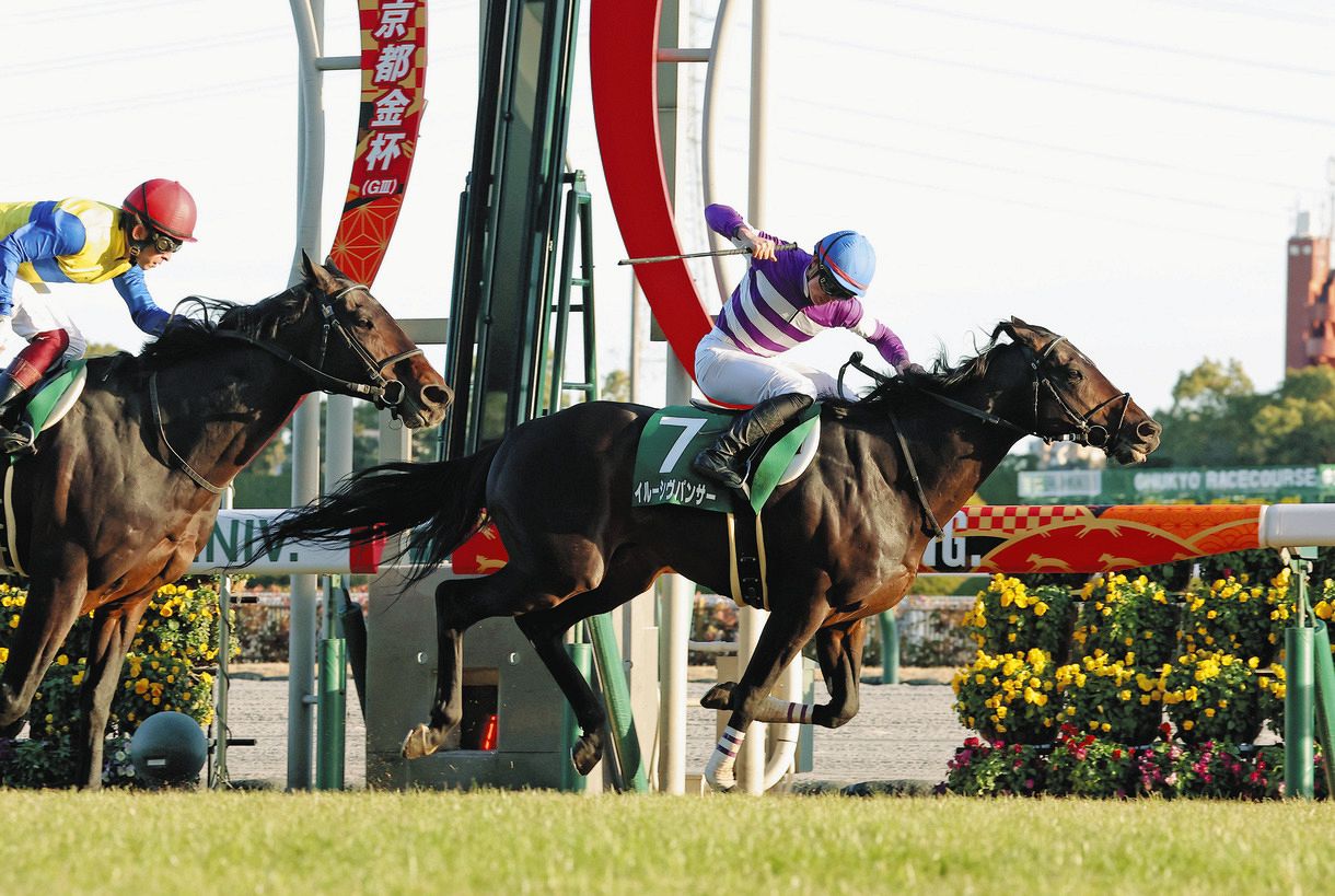 「手で丁寧に掘れた芝を…」京都競馬場改修で増えた中京開催 最低限に見える芝の傷みのウラに地道な努力:中日スポーツ・東京中日スポーツ