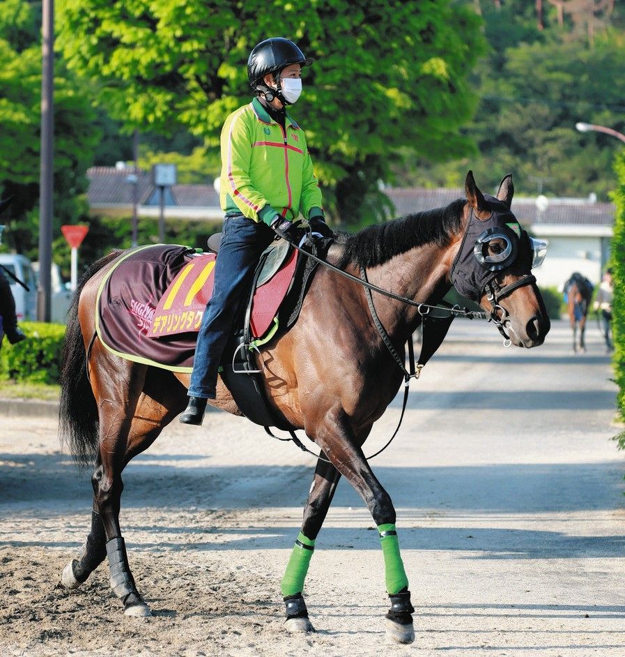 3冠牝馬デアリングタクト”激変”気配「乗り込むたび」上昇