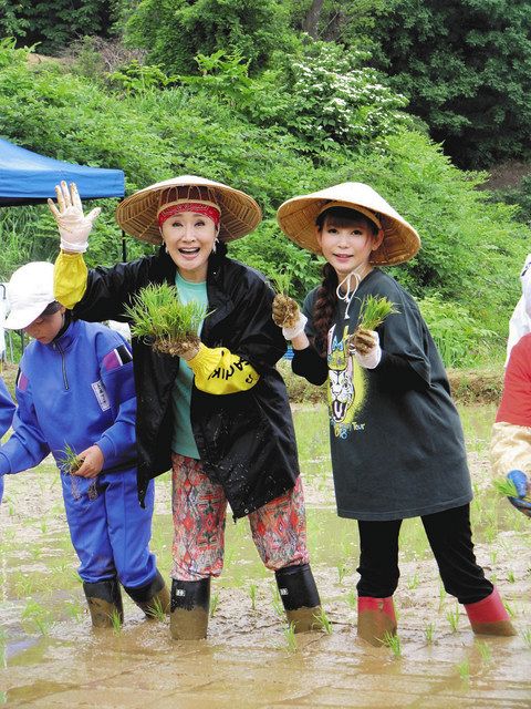 小林幸子 恒例の田植えも 我慢です 中日スポーツ 東京中日スポーツ