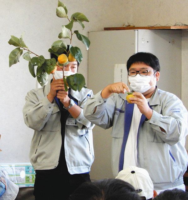 市田柿おいしく加工を 飯田で４０人が農作業講習会 中日新聞web