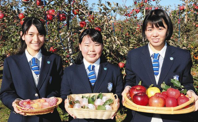 松川村産リンゴでゼリー 松本国際高生開発、村ふるさと納税返礼品に