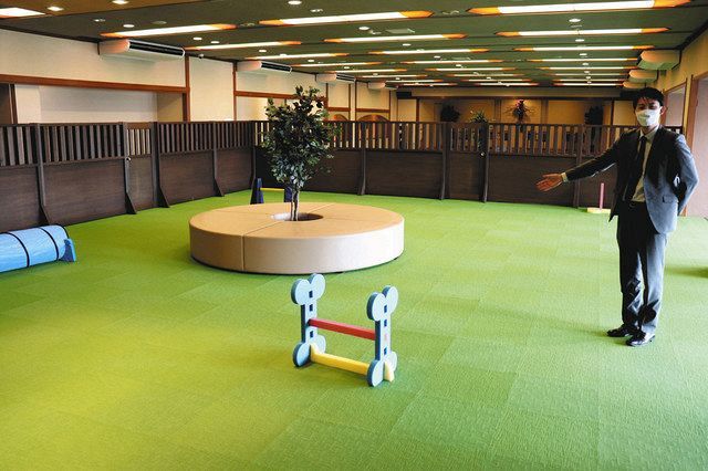 片山津 愛犬と泊まろう 湯快わんわんリゾート ２０日開業 北陸中日新聞web