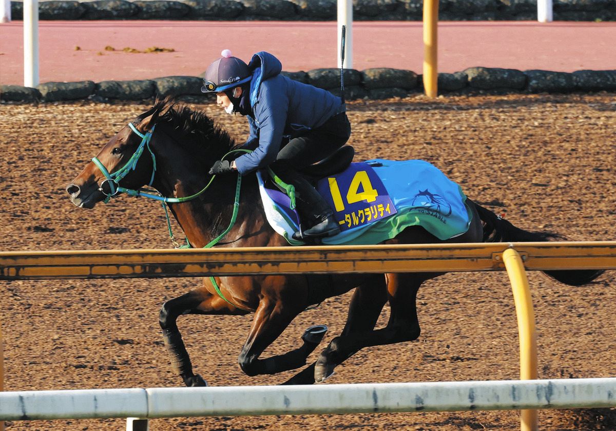 馬のおやつ5種】◇Cavalor◇Effol◇他◇ホースクッキー◇乗馬