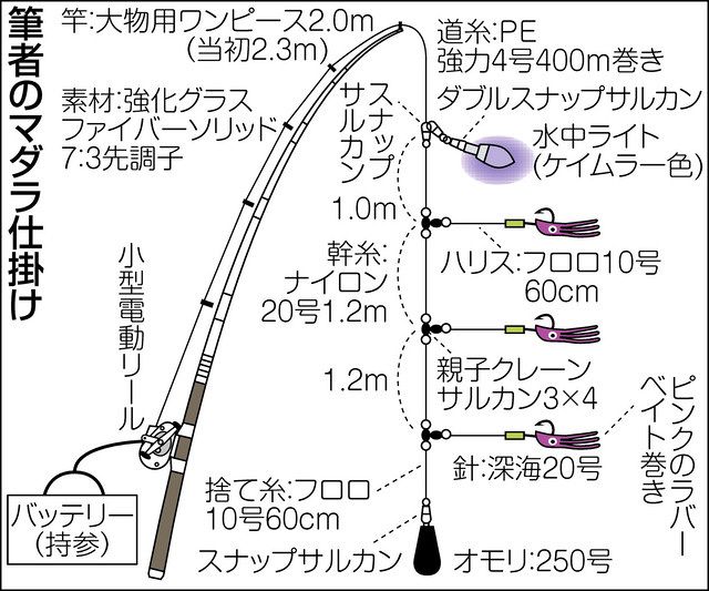 絶品マダラ 北陸 若狭湾沖 中日スポーツ 東京中日スポーツ