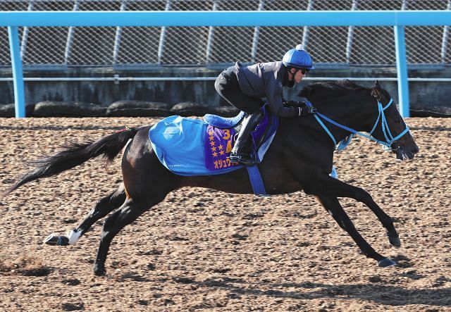 オジュウチョウサンついに敗れる「最後の障害で足をぶつけて気持ちが