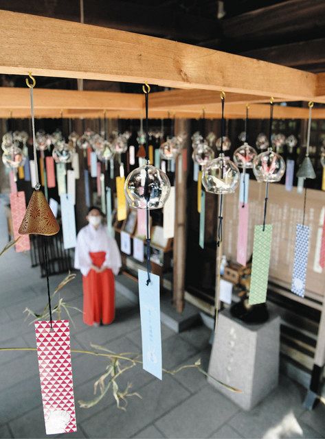 富山】涼を響かす 風になりたい 南砺・高瀬神社に風鈴555個：北陸中日