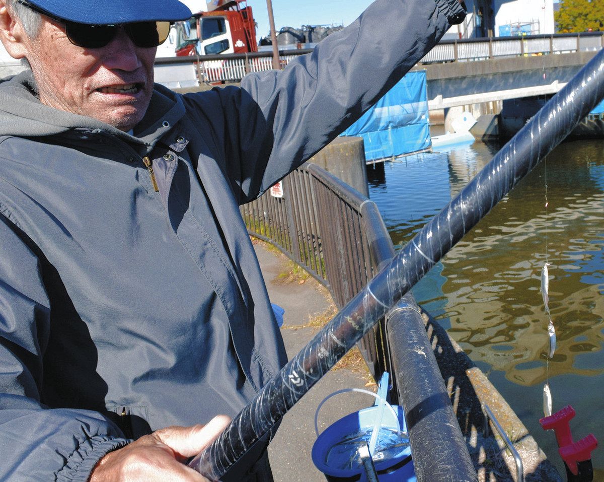 諏訪湖畔ワカサギ舞う 長野県岡谷市の釜口水門周辺：中日スポーツ