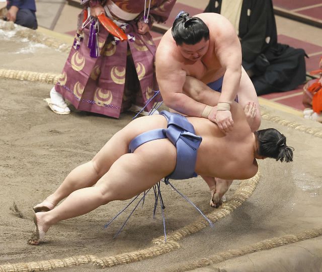 大相撲　正代関　くまモン　反物　一反 相撲大好き on X: 