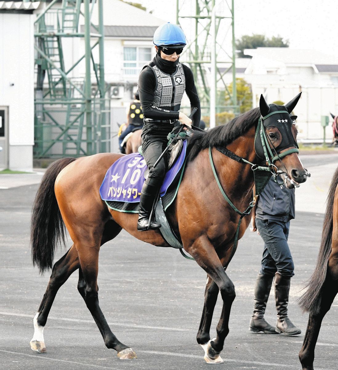 ゴールデンイーグル】超高額賞金レース、パンジャタワーは5着に敗れる